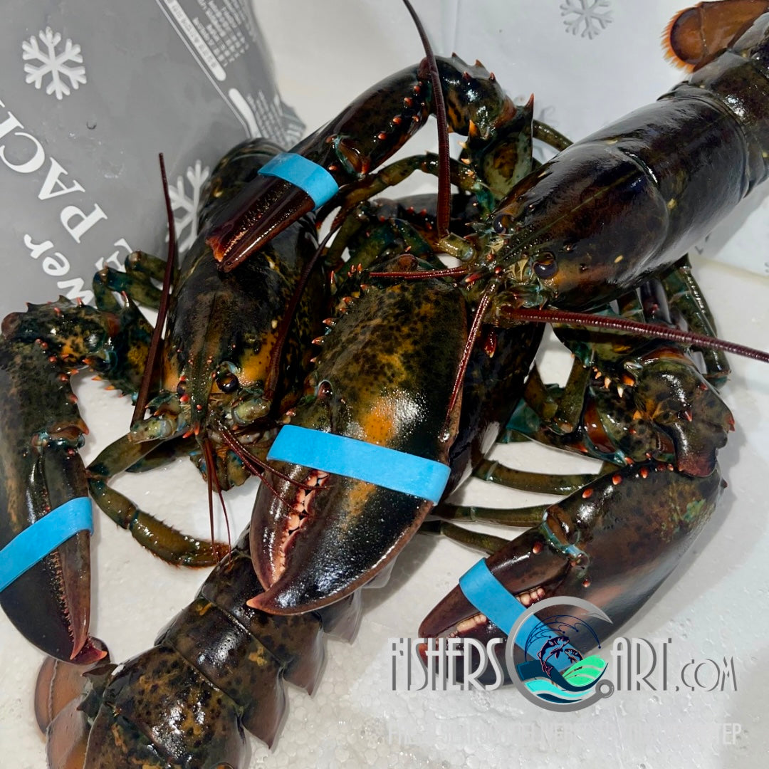 Fresh Boston Lobster (~1kg; 2pcs)