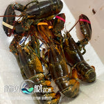 Fresh Boston Lobster (~1kg; 2pcs)