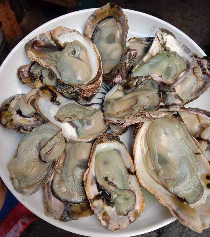 Fresh Aklan Talaba (~1kg)