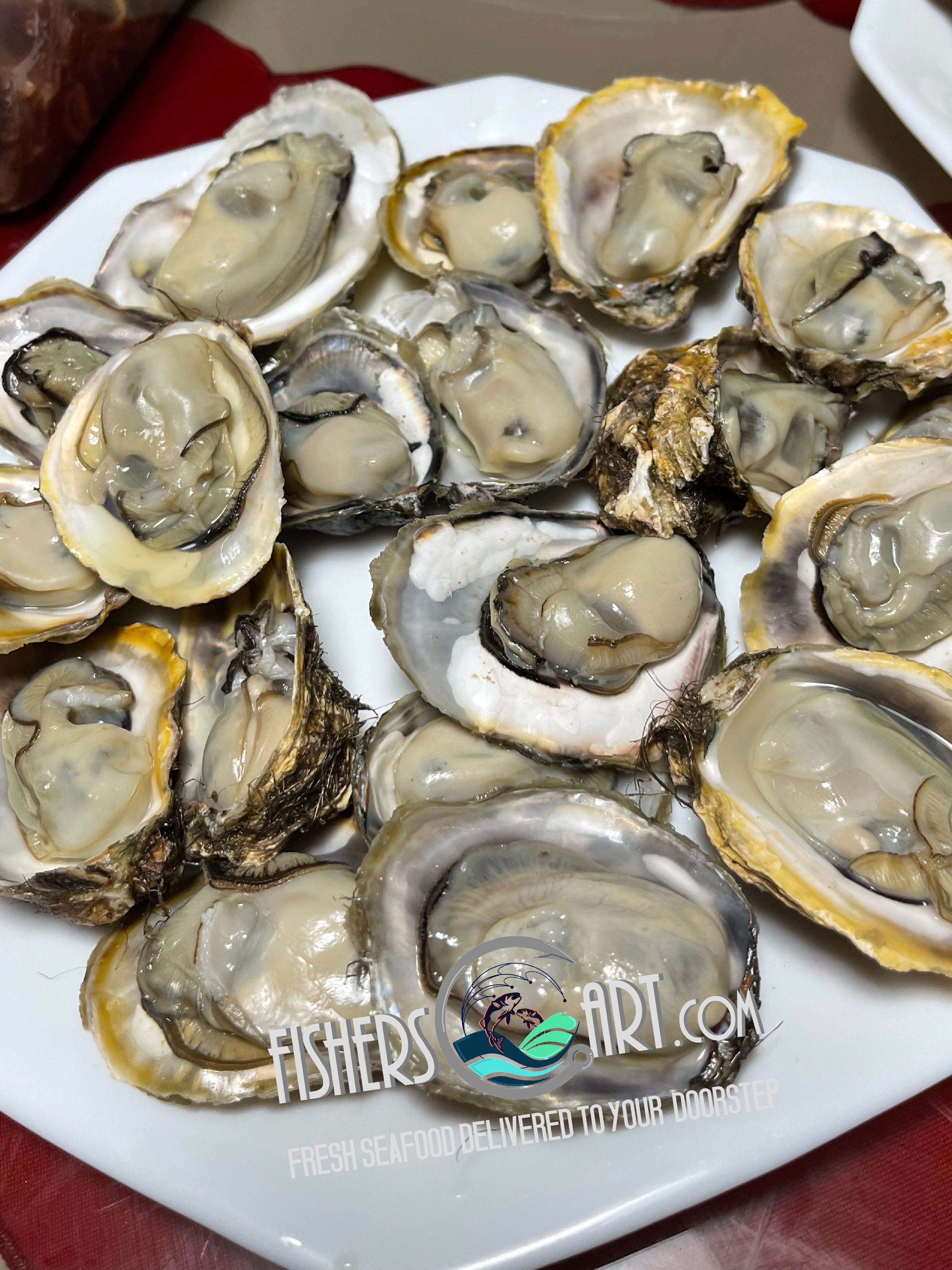 Fresh Aklan Talaba (~1kg)