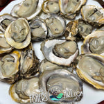 Fresh Aklan Talaba (~1kg)