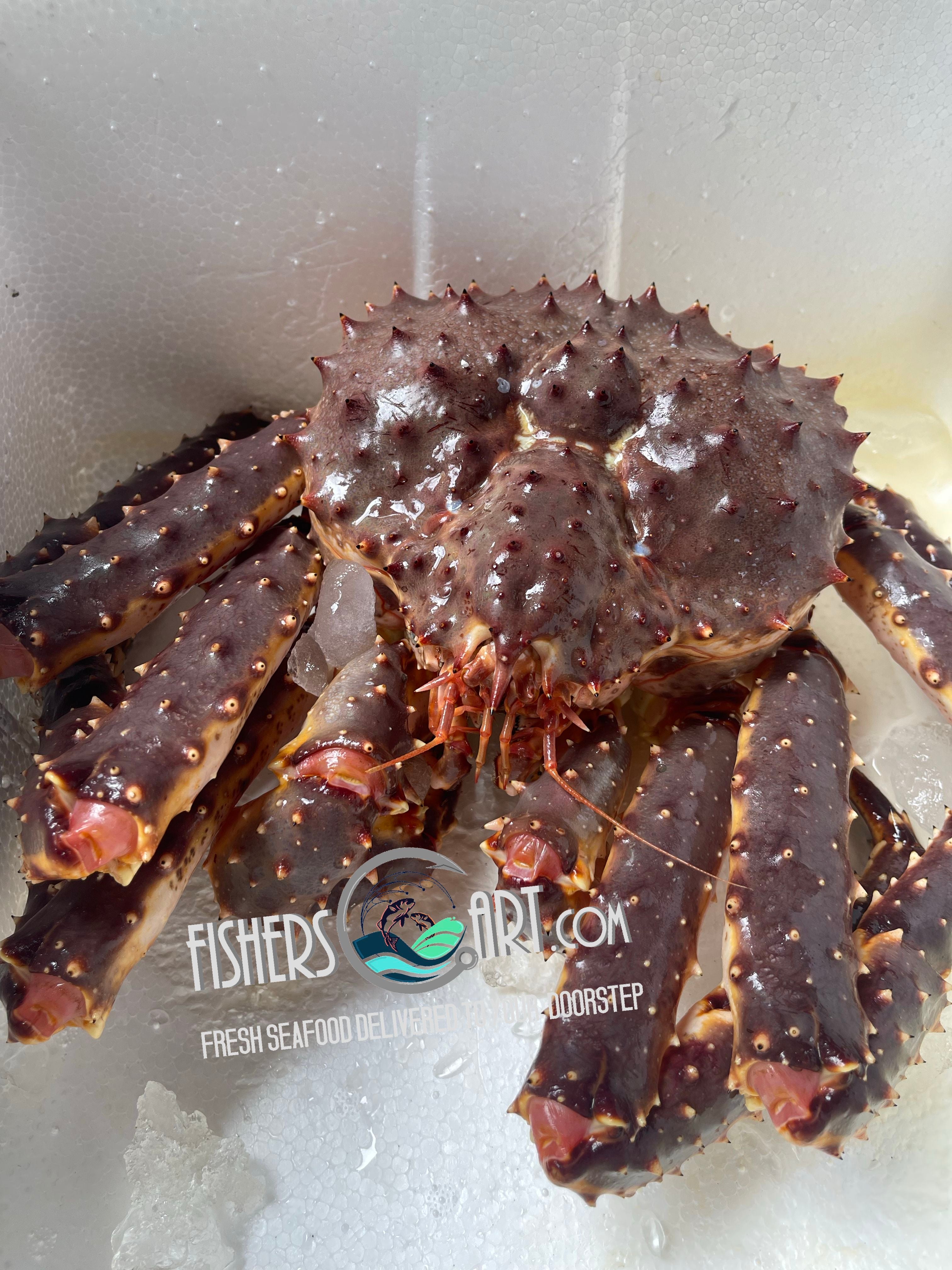 Alaskan King Crab (~2.0-4.5kg per piece)