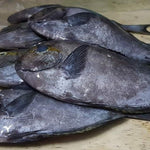 Fresh Labahita (~1kg)