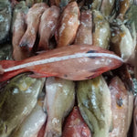 Lapu-Lapu~1kg - Fishers Cart