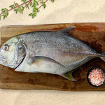 Fresh Talakitok (~1kg)