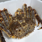 Alaskan King Crab (~2.0-4.5kg per piece)