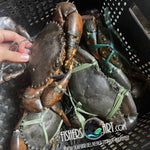 Fresh Alimango (~1kg)