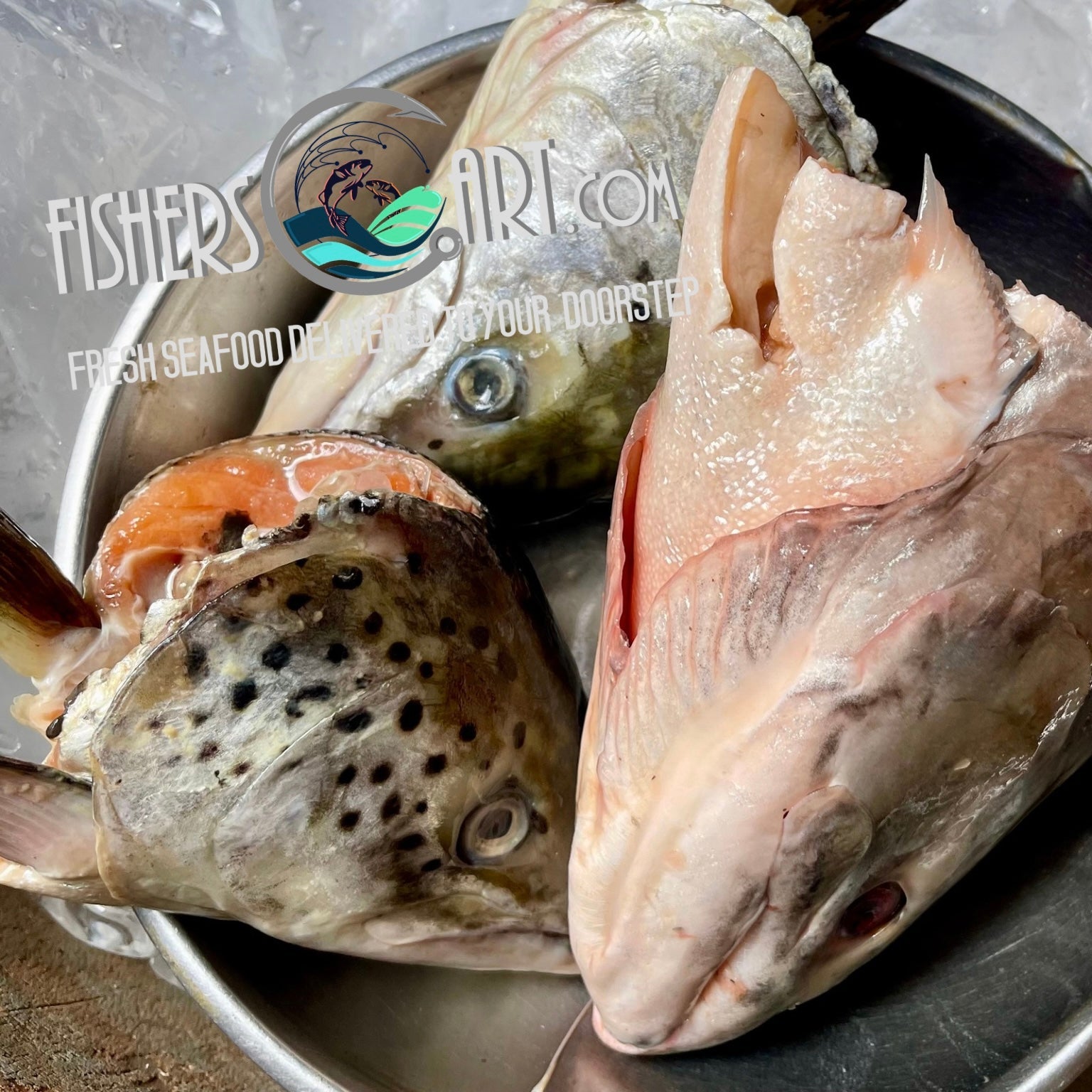 Salmon Head (~750-900 grams)